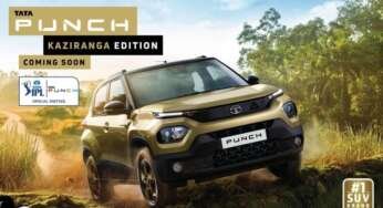 Tata Punch Kaziranga Edition To Be Auctioned At IPL 2022