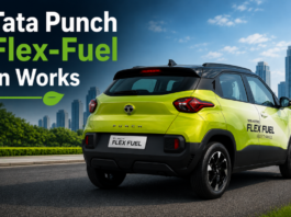 Tata Punch Flex-Fuel